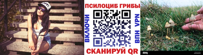 Псилоцибиновые грибы мицелий  цена   Южно-Сухокумск 